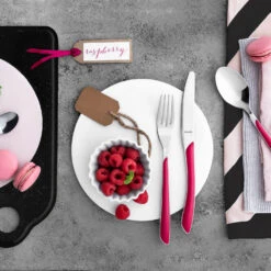 Amefa Bestekset Eclat 24 Delig Raspberry 7 Amefa Bestekset Eclat 24 Delig Raspberry -Keukengerei Winkel 102 4899 3 1